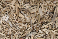 biomass boilers Dunsyre